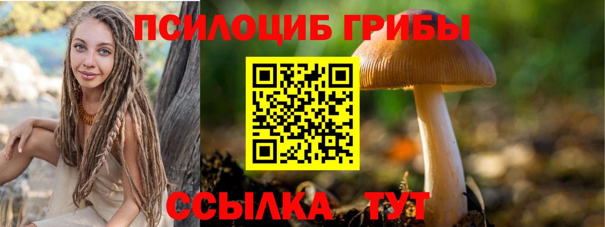 Псилоцибиновые грибы мицелий Улан-Удэ
